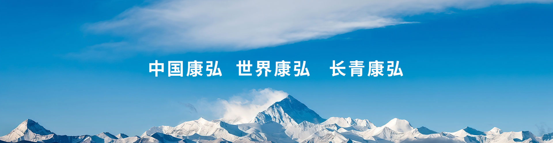 新聞動(dòng)態(tài)